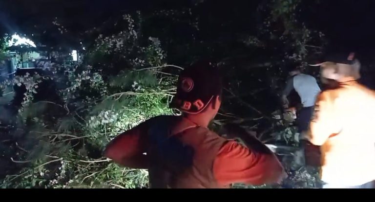 BPBD Kota Sukabumi Evakuasi Pohon Tumbang di Gunungpuyuh untuk Membuka Sekat Jalan