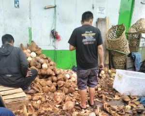 IRT Histeris Harga Kelapa Parut Tembus Rp30 Ribu Per Butir, Cabai dan Bawang Merah Masih Tinggi di H-1 Idul Fitri
