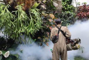 ‎Kasus Awal DBD Terdeteksi, Cikole Gencarkan Fogging