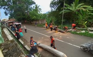 ‎Kalak BPBD Ingatkan Warga Waspada Pohon Tumbang Akibat Cuaca Ekstrem