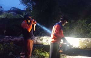 ‎Cuaca Ekstrem Landa Sukabumi, Belasan Rumah Rusak dan Pohon Tumbang